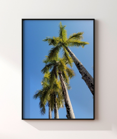 Quadro Coqueiros Tropical - Be decorart | Quadros Online