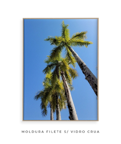 Quadro Coqueiros Tropical - comprar online