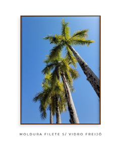 Quadro Coqueiros Tropical - Be decorart | Quadros Online