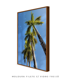 Quadro Coqueiros Tropical - loja online