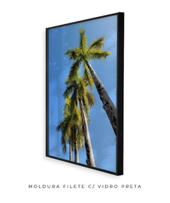 Quadro Coqueiros Tropical