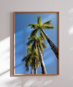 Quadro Coqueiros Tropical