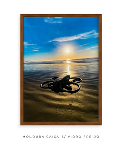 Quadro Drone - comprar online