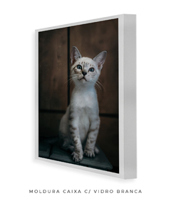 Quadro Gatinho LF - loja online