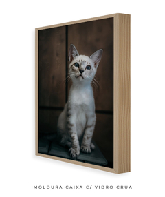 Quadro Gatinho LF