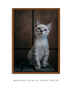 Quadro Gatinho LF - comprar online