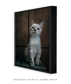 Quadro Gatinho LF - loja online