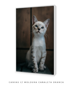 Quadro Gatinho LF