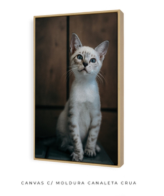 Quadro Gatinho LF - comprar online