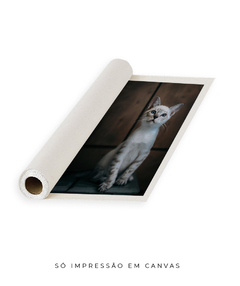 Quadro Gatinho LF - loja online