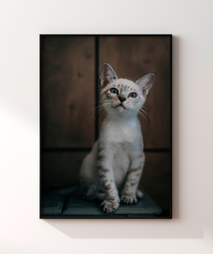 Quadro Gatinho LF - Be decorart | Quadros Online