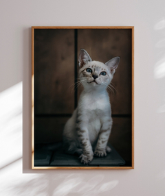 Quadro Gatinho LF - loja online