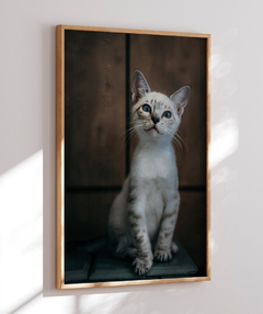 Imagem do Quadro Gatinho LF