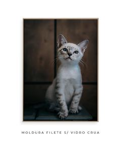 Quadro Gatinho LF - comprar online