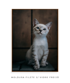 Quadro Gatinho LF - Be decorart | Quadros Online