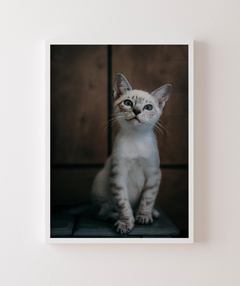 Quadro Gatinho LF