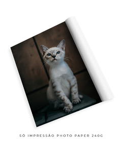 Quadro Gatinho LF - comprar online