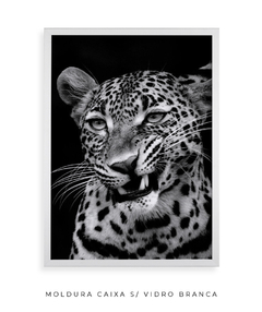 Quadro Leão Preto e Branco - Be decorart | Quadros Online