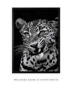 Quadro Leão Preto e Branco - Be decorart | Quadros Online