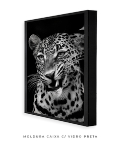 Quadro Leão Preto e Branco - loja online