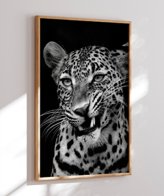 Quadro Leão Preto e Branco - Be decorart | Quadros Online