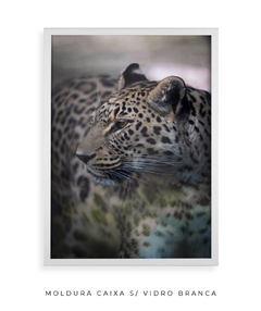 Quadro Onça Pintada - Be decorart | Quadros Online