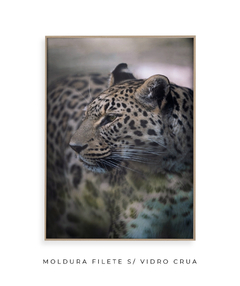 Quadro Onça Pintada - comprar online