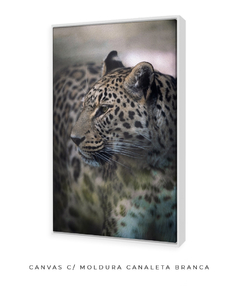 Quadro Onça Pintada - Be decorart | Quadros Online