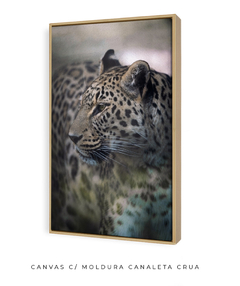 Quadro Onça Pintada - loja online