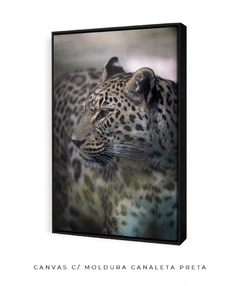 Quadro Onça Pintada - comprar online