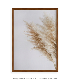 Quadro Pampas - comprar online