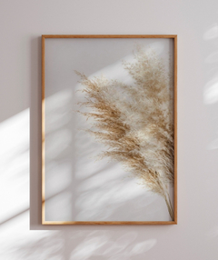 Quadro Pampas - Be decorart | Quadros Online