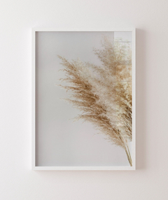 Quadro Pampas