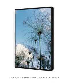 Quadro Papiro Cyperus - Be decorart | Quadros Online