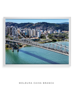 Quadro Raridades sobre o Rio - Be decorart | Quadros Online