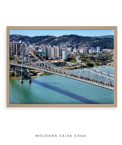 Imagem do Quadro Raridades sobre o Rio