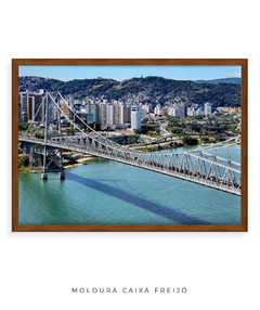 Quadro Raridades sobre o Rio - comprar online