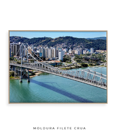 Quadro Raridades sobre o Rio - comprar online