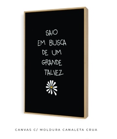 Quadro Saio Em Busca - Be decorart | Quadros Online