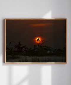 Quadro Sunset e Pássaro Santinho