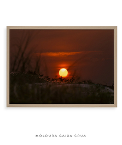 Imagem do Quadro Sunset Praia do Santinho