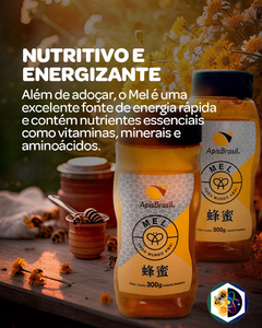 MEL PURO APISBRASIL - Kit 3 x 500g na internet