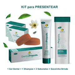 Kit Cosméticos de Própolis para Presentear