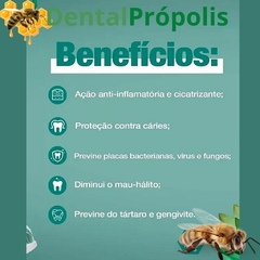 Gel Dental DENTALPRÓPOLIS® - 80g - comprar online