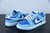 Nike Sb Dunk Low Argon na internet