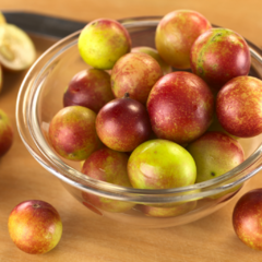 Camu camu 50g - comprar online