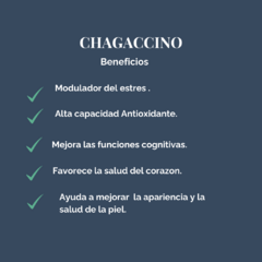 Chagaccino 100g - Yaku ecotienda