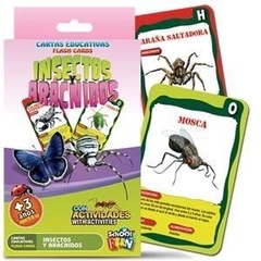 CARTAS EDUCATIVAS FLASH CARDS INSECTOS Y ARACNIDOS