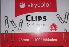 CLIPS METALICOS SKYCOLOR N2 X100