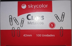 CLIPS METALICOS SKYCOLOR N5 X100